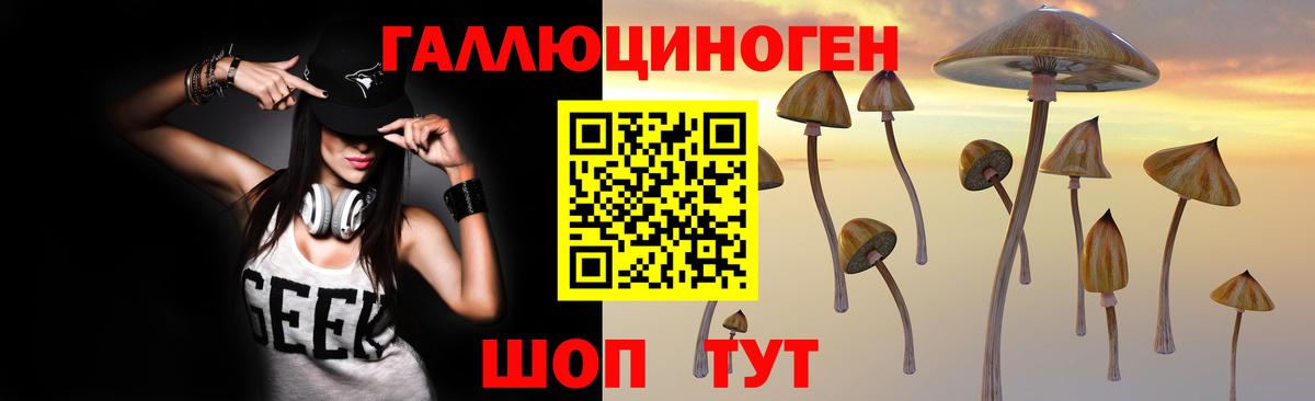 Псилоцибиновые грибы Psilocybe Октябрьский